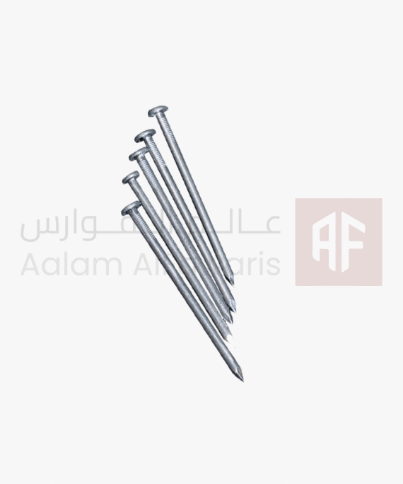 Concrete Nail