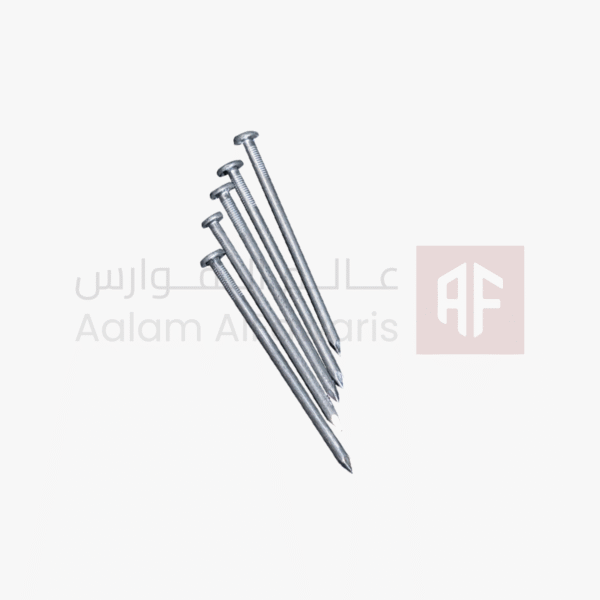 Concrete Nail