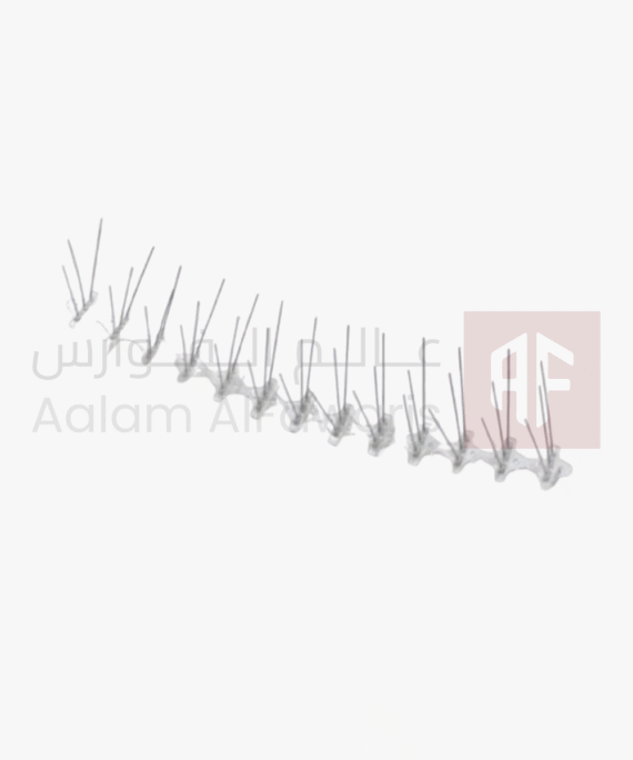 Silver Steel Bird Spike